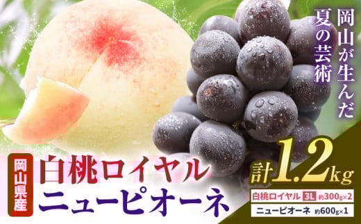 【先行予約】岡山県産 白桃ロイヤル ニューピオーネ 詰合せ 選べる 計1.2kg 株式会社はちや《7月上旬‐8月下旬頃出荷》岡山県 浅口市 白桃 桃 ぶどう 葡萄 フルーツ ギフト 果物 デザート 国産【配送不可地域あり】