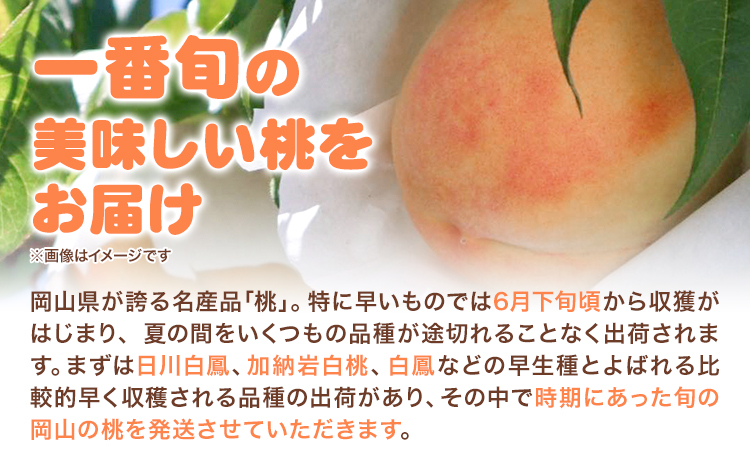 ã2026幎å
è¡äºçŽã岡山ã®çœæ¡ æ©ççš® 3ç çŽ840g æŽãã®åœ ããããŸé€š(ã€ããæ ªåŒäŒç€Ÿ) ã2026幎6æäžæ¬-7æäžæ¬é åºè·ãå²¡å±±ç æµ
å£åž ãã«ãŒã ã¢ã¢ æç© éæ æ¬ãé
éäžå¯å°åãããïŒé¢å³¶ïŒ