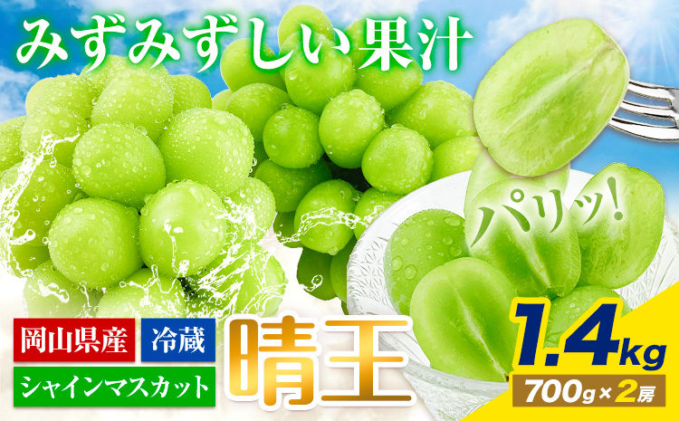 【2025年先行予約受付】ぶどう シャインマスカット 晴王 1.4kg（2房） 岡山県産《7月上旬-9月中旬頃出荷》 ハレノフルーツ マスカット 送料無料 岡山県 浅口市 フルーツ 果物 国産 岡山県産 くだもの 青果物【配送不可地域あり】（北海道・沖縄・離島）