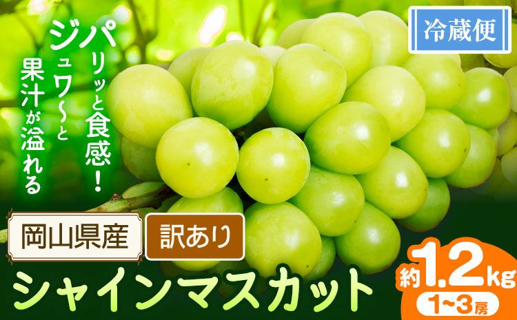 訳あり シャインマスカット 約1.2kg 1～3房【配送不可地域あり】 花田青果株式会社《2026年9月上旬-10月末頃出荷》