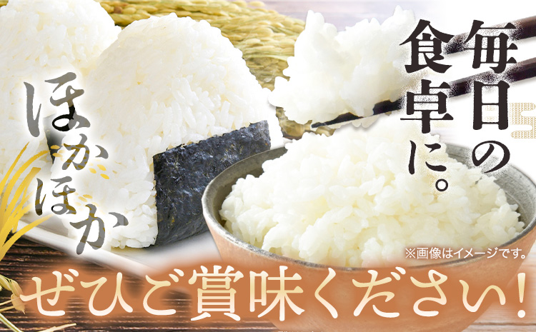 米 10kg 5kg×2袋 お米 10キロ 国産 岡山県産 きぬむすめ 10kg(5kg×2袋) 全農パールライス《90日以内に出荷予定(土日祝除く)》 岡山県 浅口市 送料無料 こめ 精米 きぬむすめ お取り寄せ