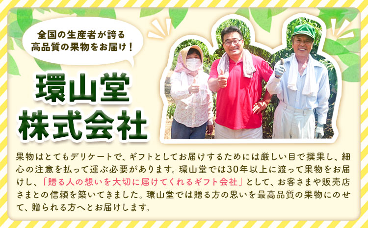 【2026年先行予約】岡山白桃 と シャインマスカット 詰合せ 5玉 約1.5kg 2房 計約1.3kg 環山堂株式会社《2026年7月中旬-8月上旬頃出荷》岡山県 浅口市 桃 マスカット ぶどう 詰め合わせ 果物 送料無料