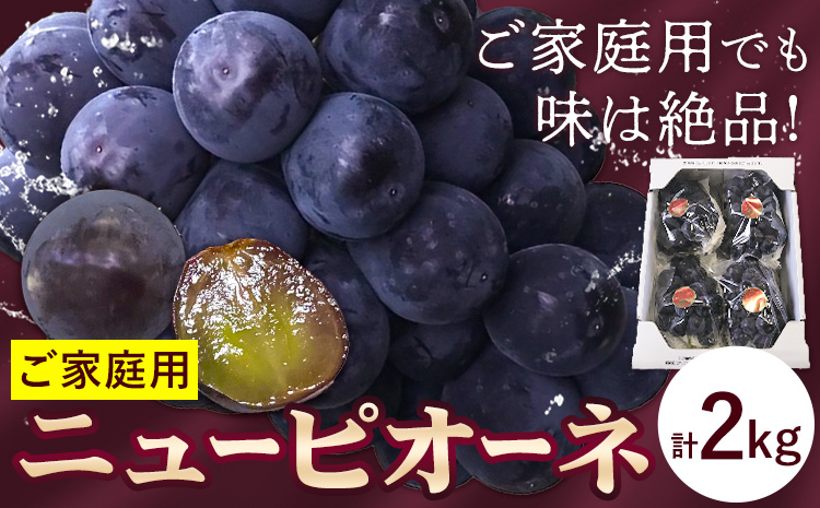 【先行予約】訳あり ぶどう ニューピオーネ ご家庭用 計2kg たけまさぶどう園 《2025年7月下旬-10月上旬頃出荷》岡山県 浅口市 送料無料 フルーツ 果物 岡山県産 青果物 お取り寄せフルーツ【配送不可地域あり】(離島)