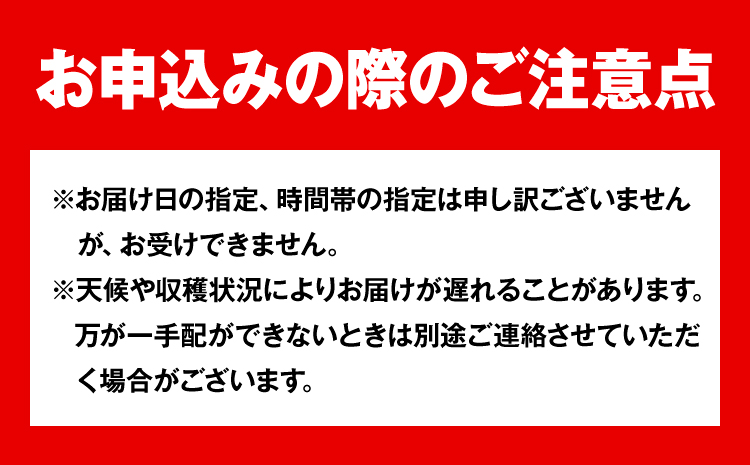 【2026年先行予約】岡山県産 白桃 （早生種）内容量 約900g （3～4玉） クール便 晴れの国 おかやま館(漂流岡山) 《2026年7月上旬-7月下旬頃出荷》岡山県 浅口市 白桃 桃【配送不可地域あり】（離島）st-p