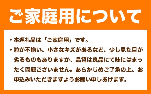 【先行予約】岡山県産 ご家庭用 ニューピオーネ詰合せ 計1.5kg 株式会社はちや《8月下旬-9月下旬頃出荷》岡山県 浅口市 ぶどう 葡萄 フルーツ ギフト 果物 デザート 国産 送料無料【配送不可地域あり】