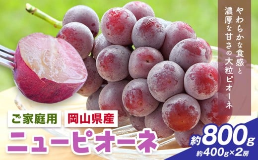 【先行予約】岡山県産 ご家庭用 ニューピオーネ詰合せ 計800g 株式会社はちや《8月下旬-9月下旬頃出荷》岡山県 浅口市 ぶどう 葡萄 フルーツ ギフト 果物 デザート 国産 送料無料【配送不可地域あり】