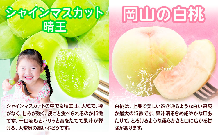 【2026年先行予約】定期便3回コース(隔月) 岡山のフルーツ 岡山の白桃8玉 (計1.7kg以上) シャインマスカット 晴王 2房 (1房600g以上) あたご梨 4~5玉 (約4kg) 化粧箱入り 株式会社山博(中本青果) 《2026年7月上旬-11月下旬頃出荷》 岡山県 浅口市 送料無料  【配送不可地域あり】（北海道・沖縄・離島）