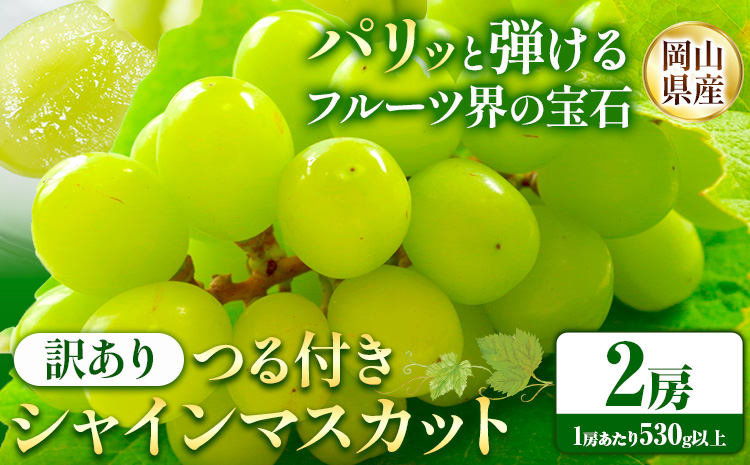 【先行予約】岡山県産 訳あり つる付き シャインマスカット 2房 (530g以上)  有限会社ホーティカルチャー神島《9月上旬-10月中旬頃出荷》岡山県 浅口市 マスカット ぶどう 葡萄 果物【配送不可地域あり】