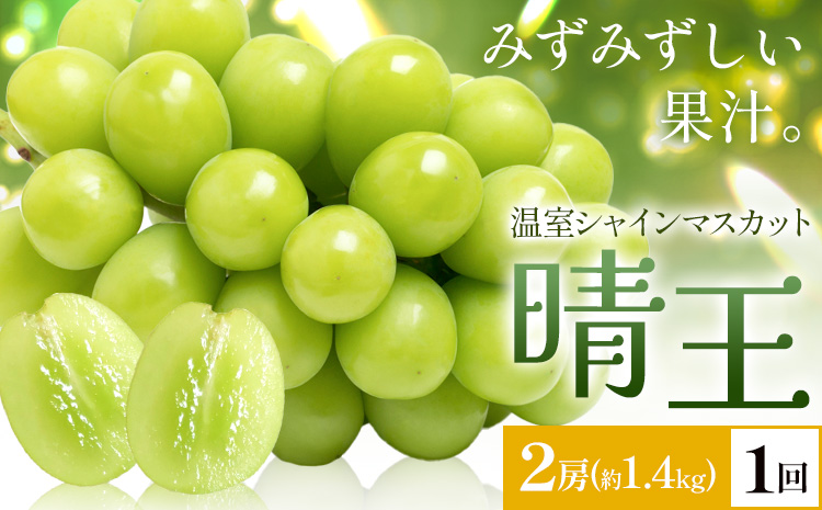 【2026年発送先行予約】シャインマスカット 温室 晴王 2房(合計約1.4kg) 1回お届け シャイン マスカット《2026年7月中旬-8月中旬頃出荷》晴レ乃青果　(岡山中央卸売市場店(富士紙工 有限会社)) 送料無料 岡山県 浅口市 フルーツ 果物 岡山県産【配送不可地域あり】