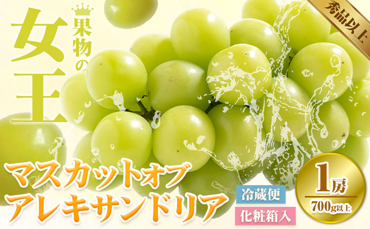 【2025年先行予約】マスカット オブ アレキサンドリア 1房(1房700g以上) 化粧箱入 株式会社山博(中本青果)《2025年7月中旬-7月下旬頃出荷》岡山県 浅口市 ぶどう マスカット 大粒 フルーツ 秀品 旬 果物 贈り物 ギフト 国産 岡山県産 送料無料 【配送不可地域あり】（北海道・沖縄・離島）