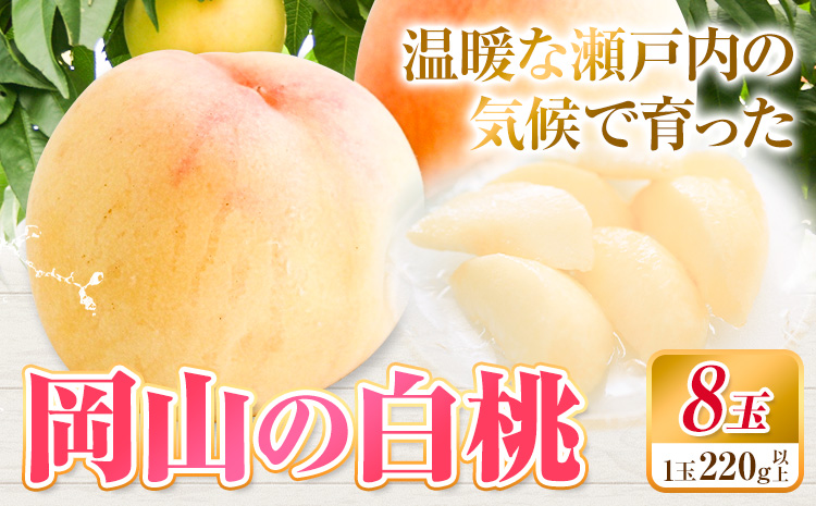 【2025年先行予約】白桃 岡山 8玉 ウィズフラワーホールディングス《2025年7月上旬-9月上旬頃出荷》岡山県 浅口市 桃 もも フルーツ 旬 果物 国産 岡山県産 送料無料 冷蔵【配送不可地域あり】（北海道・沖縄・離島）