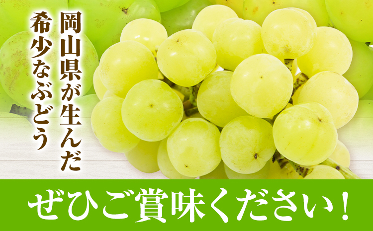 【2025年先行予約】桃太郎ぶどう 2房 480g × 2 ウィズフラワーホールディングス《8月下旬-10月中旬頃出荷》岡山県 浅口市 ぶどう フルーツ 旬 果物 国産 岡山県産 送料無料 冷蔵【配送不可地域あり】（北海道・沖縄・離島）