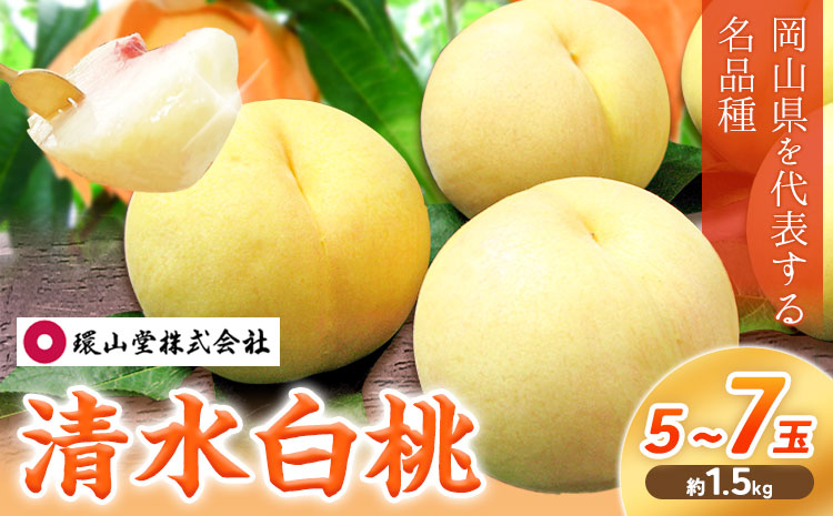 【2026年先行予約】桃 もも 清水白桃 5〜7玉 約1.5kg 岡山県産 環山堂株式会社【配送不可地域あり】（北海道・沖縄・離島）《2026年7月中旬-7月下旬頃出荷》岡山県 浅口市 白桃 果物 フルーツ 送料無料