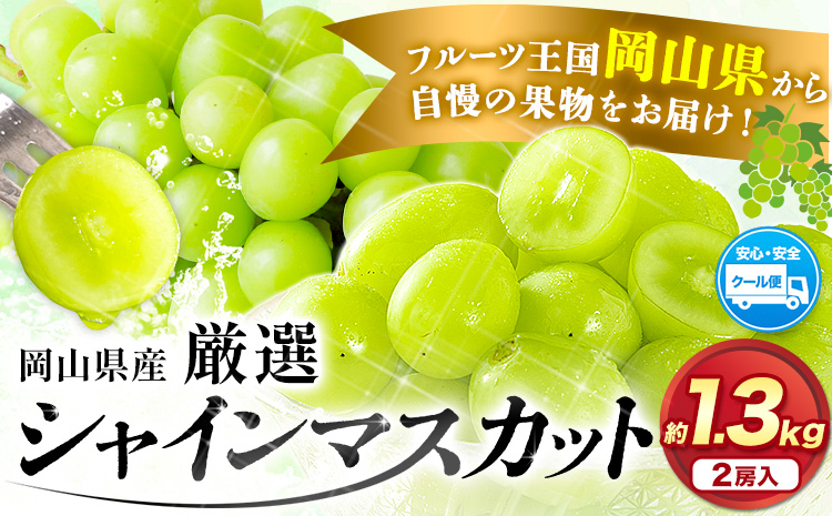 [速攻出荷!]厳選 訳あり シャインマスカット 約 1.3kg 2房[3-7営業日以内に出荷予定(土日祝除く)]岡山県 浅口市 シャインマスカット ぶどう フルーツ 果物 贈り物 ギフト 国産 岡山県産 送料無料