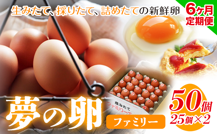 卵 たまご 6ヶ月 定期便 赤玉 夢の卵 ファミリー 50個 計300個《お申込み月翌月から出荷開始》株式会社めぐみ 岡山県 浅口市 送料無料 25個 × 2セット たっぷり 家族 食卓