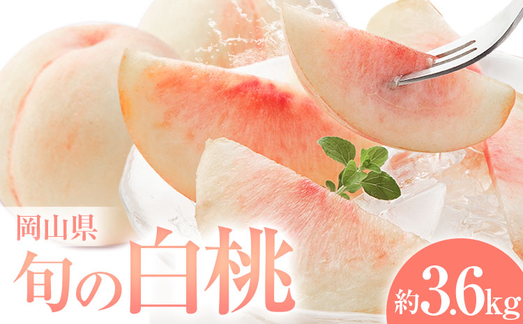 桃 岡山県の旬の白桃 約3.6kg 花田青果株式会社《6月下旬-8月下旬頃出荷予定(土日祝除く)》岡山県 浅口市 白桃 桃 もも 旬 フルーツ 果物【配送不可地域あり】