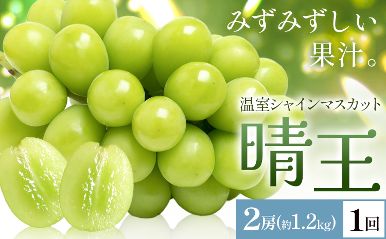 【2026年発送先行予約】シャインマスカット 温室 晴王 2房(合計約1.2kg) 1回お届け シャイン マスカット《2026年7月中旬-8月中旬頃出荷》晴レ乃青果　(岡山中央卸売市場店(富士紙工 有限会社)) 送料無料 岡山県 浅口市 フルーツ 果物 岡山県産【配送不可地域あり】