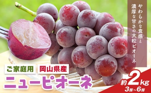【先行予約】岡山県産 ご家庭用 ニューピオーネ詰合せ 計2kg 株式会社はちや《8月下旬-9月下旬頃出荷》岡山県 浅口市 ぶどう 葡萄 フルーツ ギフト 果物 デザート 国産 送料無料【配送不可地域あり】