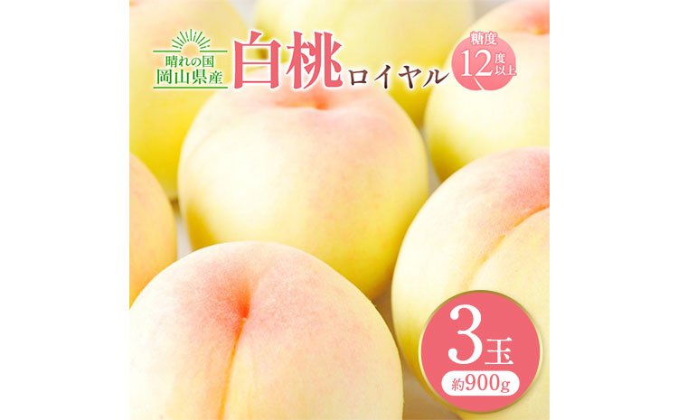 岡山白桃ロイヤル 3玉 計約900g 橋田商店有限会社《7月上旬-8月中旬頃出荷》 岡山県 浅口市 岡山県産 もも フルーツ 果物 くだもの 白桃 送料無料