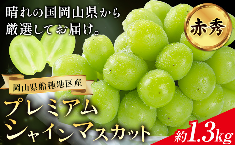 ぶどう 【2026年発送先行予約】プレミアム シャインマスカット 船穂 赤秀品 晴王 約1.3kg《2026年9月中旬-10月中旬頃出荷》晴レ乃青果　(岡山中央卸売市場店(富士紙工 有限会社)) マスカット 送料無料 岡山県 浅口市 フルーツ 果物 贈り物 ギフト 国産 【配送不可地域あり】（北海道・沖縄・離島）