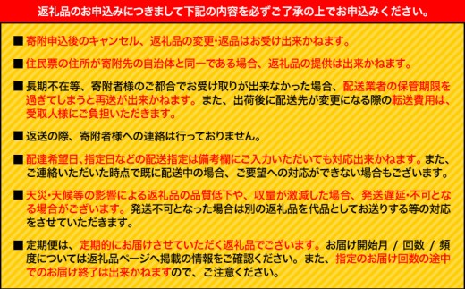 【先行予約】岡山県産 ぶどう ブラックビート 計 800g 2房 株式会社 はちや《8月上旬-9月上旬頃出荷》岡山 国産 葡萄 フルーツ 果物 岡山県 浅口市 フルーツ 果物【配送不可地域あり】
