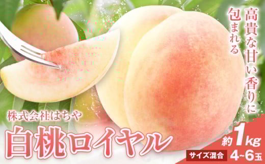 【先行予約】岡山白桃 等級 ロイヤル 約1kg《7月上旬‐8月下旬頃出荷》もも モモ 岡山 国産 フルーツ 果物 岡山県 浅口市 株式会社 はちや フルーツ モモ 果物 青果 旬 白桃 国産 岡山県産【配送不可地あり】