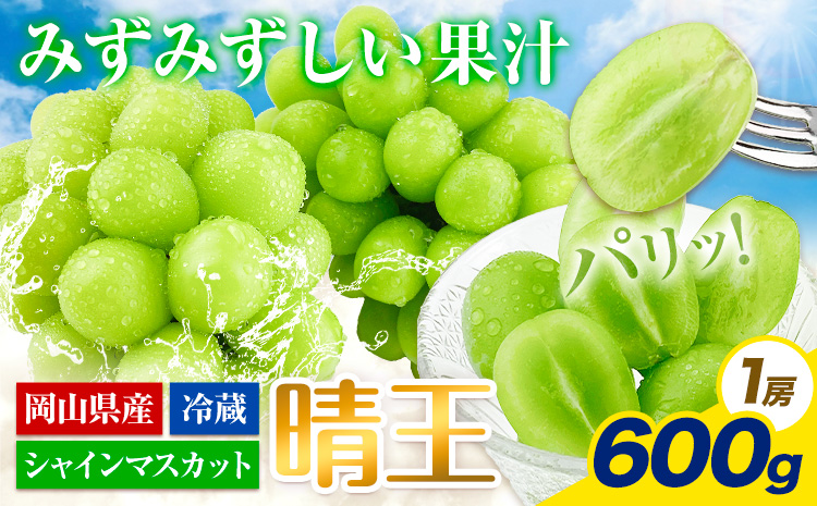 【2025年先行予約受付】ぶどう シャインマスカット 晴王 600g 岡山県産《7月上旬-9月中旬頃出荷》 ハレノフルーツ マスカット 送料無料 岡山県 浅口市 フルーツ 果物 国産 岡山県産 くだもの 青果物【配送不可地域あり】（北海道・沖縄・離島）