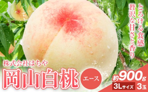 【先行予約】岡山白桃 等級 エース 約900g《7月上旬‐8月下旬頃出荷》株式会社 はちや もも モモ 岡山 国産 フルーツ 果物 岡山県 浅口市 フルーツ モモ 果物 青果 旬 白桃 国産 岡山県産【配送不可地域あり】