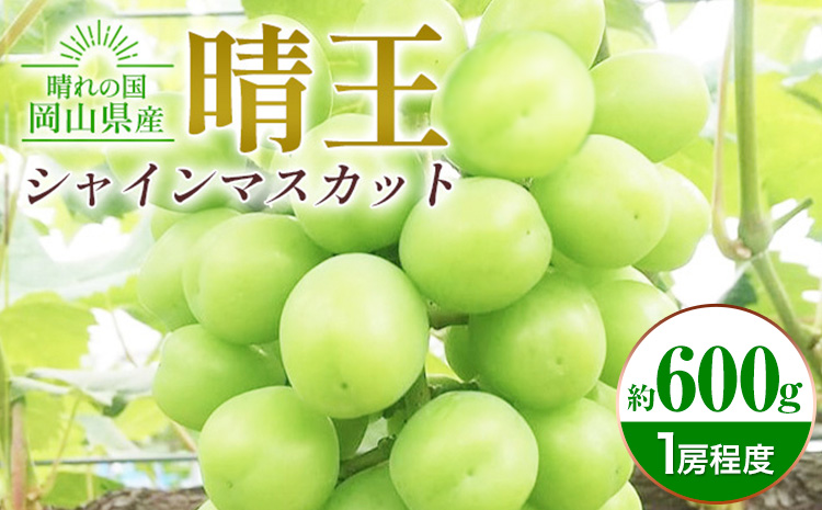 ぶどう シャインマスカット晴王 約600g 1房程度 橋田商店有限会社[9月中旬-11月中旬頃出荷] 岡山県 浅口市 岡山県産 ぶどう フルーツ 果物 くだもの マスカット 送料無料[配送不可地域あり](北海道・沖縄・離島)st-p