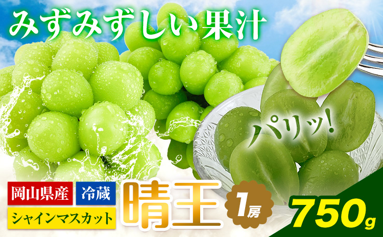 ぶどう [2026年先行予約] シャインマスカット 晴王 1房 750g 岡山県産《2026年9月上旬-10月末頃出荷(土日祝除く)》 ハレノフルーツ マスカット 送料無料 岡山県 浅口市 フルーツ 果物 贈り物 ギフト 国産 岡山県産 くだもの 青果物 【配送不可地域あり】（北海道・沖縄・離島）a-1