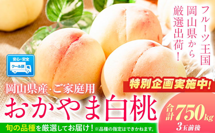 【特別企画】桃 おかやま白桃 もも 桃 約750g 岡山県産 ご家庭用《1－5営業日以内に出荷》岡山県 浅口市 厳選出荷 白桃  白鳳 清水白桃 おかやま夢白桃 川中島白桃 白皇 果物 フルーツa-8