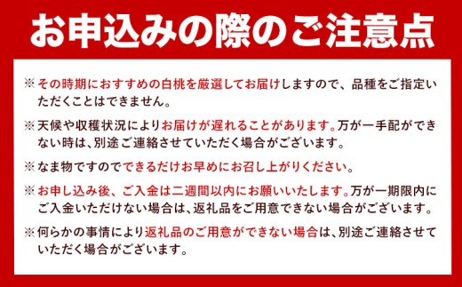 【先行予約】岡山白桃 等級 ロイヤル 約2kg《7月上旬‐8月下旬頃出荷》もも モモ 岡山 国産 フルーツ 果物 岡山県 浅口市 株式会社 はちや フルーツ モモ 果物 青果 旬 白桃 国産 岡山県産【配送不可地あり】