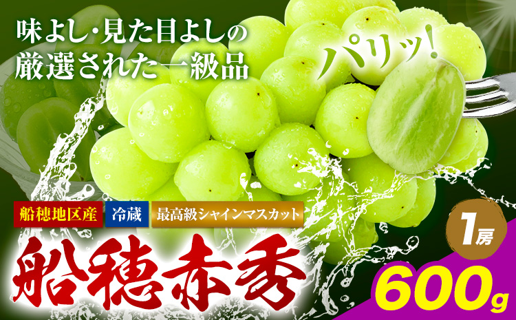 【2026年先行予約受付】最高級 シャインマスカット ぶどう 船穂赤秀 1房 600g《2026年9月上旬-10月末頃出荷(土日祝除く)》ハレノフルーツ マスカット 送料無料 岡山県 浅口市 フルーツ 果物 贈り物 ギフト 国産 岡山県産【配送不可地域あり】（北海道・沖縄・離島）