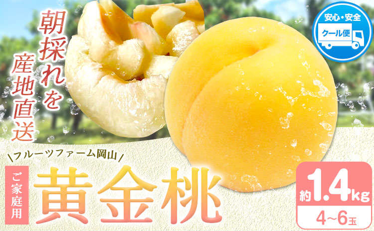 【2026年先行予約】桃 黄金桃 ご家庭用 1.4kg (4〜6玉) フルーツファーム岡山《2026年8月中旬-8月下旬頃出荷》岡山県 浅口市 送料無料 フルーツ モモ 果物 青果 旬 国産 岡山県産【配送不可地域あり】（北海道・沖縄・離島）st-p