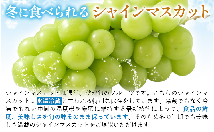 ãå
è¡äºçŽã岡山çç£ å·èµ ã·ã£ã€ã³ãã¹ã«ãã 2æ¿ (540g以äž) æéäŒç€ŸããŒãã£ã«ã«ãã£ãŒç¥å³¶ã11æäžæ¬-12æäžæ¬é åºè·ãå²¡å±±ç æµ
å£åž ãã¹ã«ãã ã¶ã©ã è¡è æ°·æž©å·èµ æç© ãã«ãŒããé
éäžå¯å°åããã