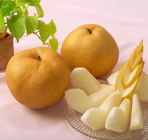 【先行予約】岡山県産　あたご梨　2玉（約1.8kg）