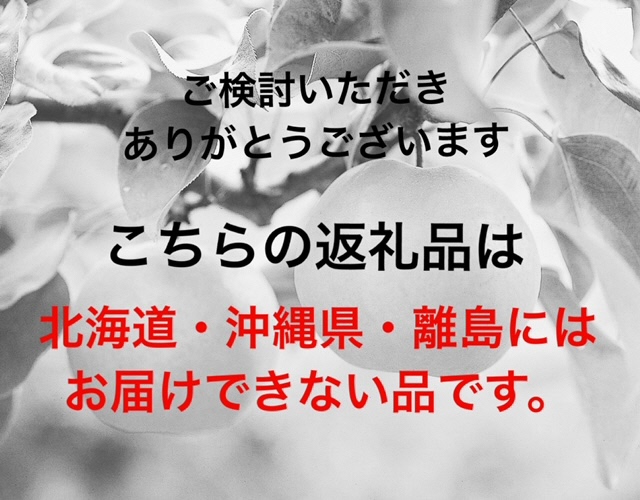 【令和６年発送・先行予約】岡山県産　ニューピオーネ（1房600g以上）２房　化粧箱入り