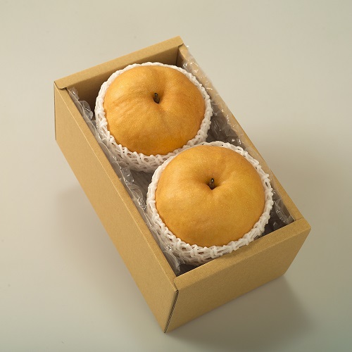 【先行予約】岡山県産　あたご梨　2玉（約1.8kg）