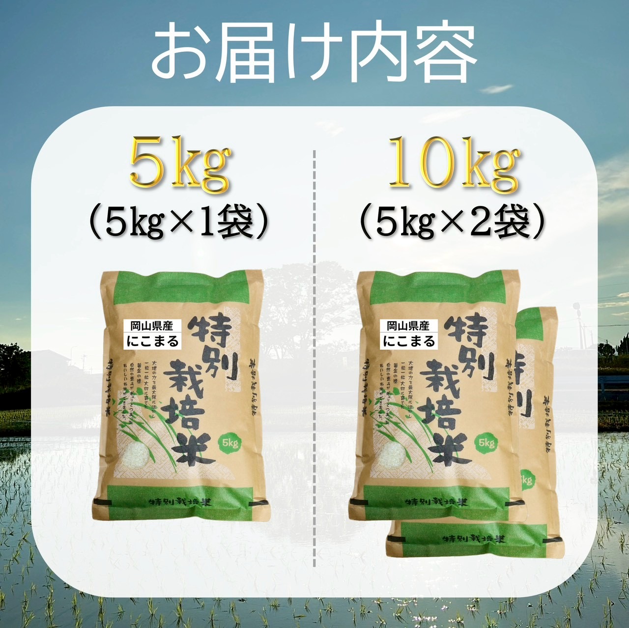 【お米　特別栽培米】岡山県産「にこまる」10kg（令和7年産）