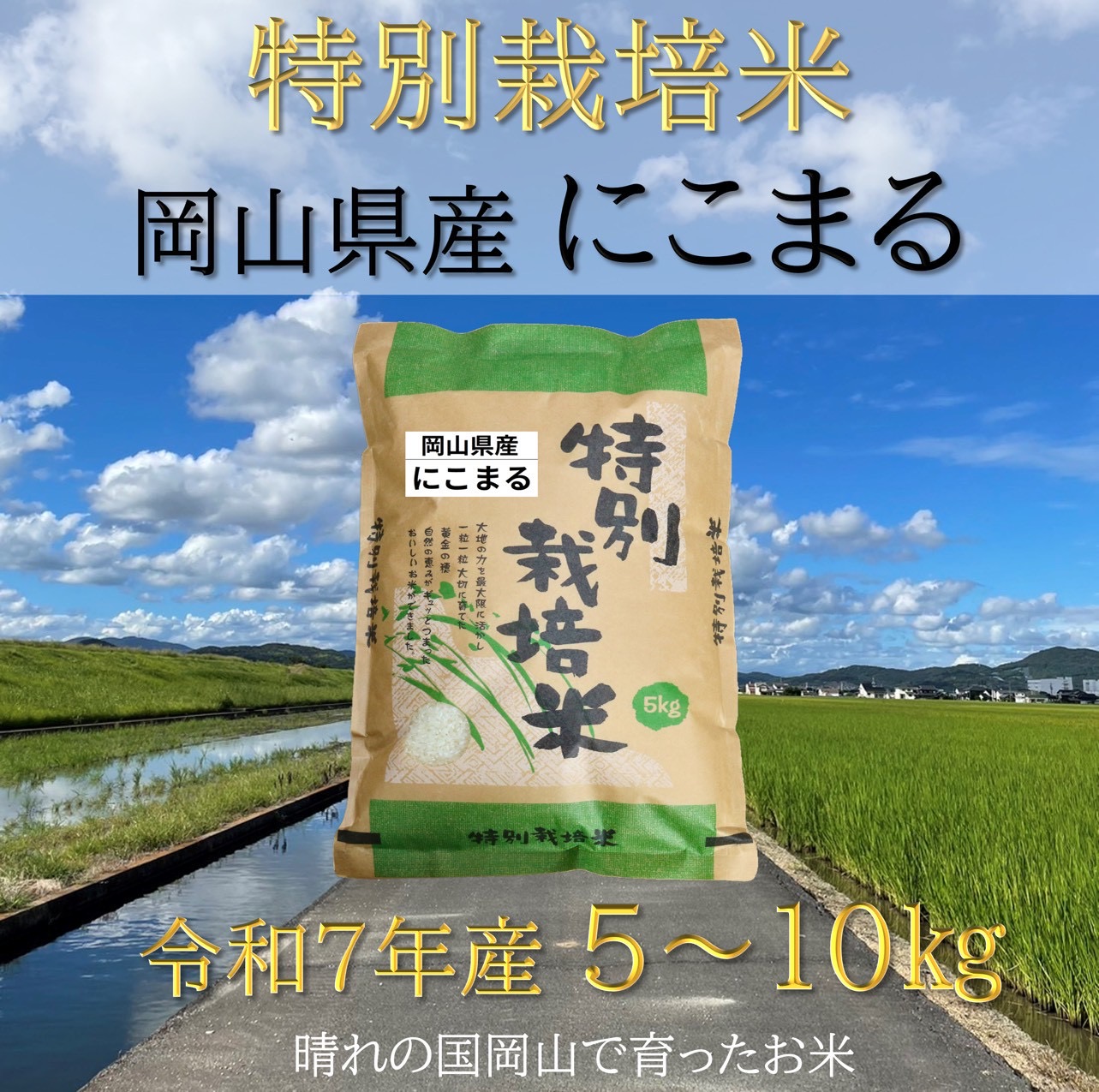 【お米　特別栽培米】岡山県産「にこまる」10kg（令和7年産）