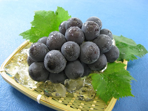 【先行予約】岡山県産　秋のニューピオーネ（約600ｇ）