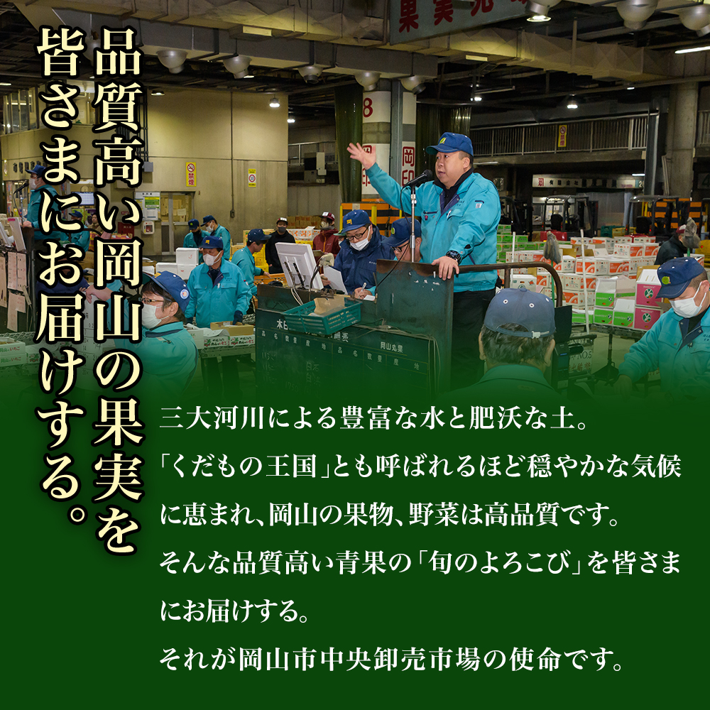 【令和7年発送・先行予約】岡山のフルーツとワインの定期便　3回コース