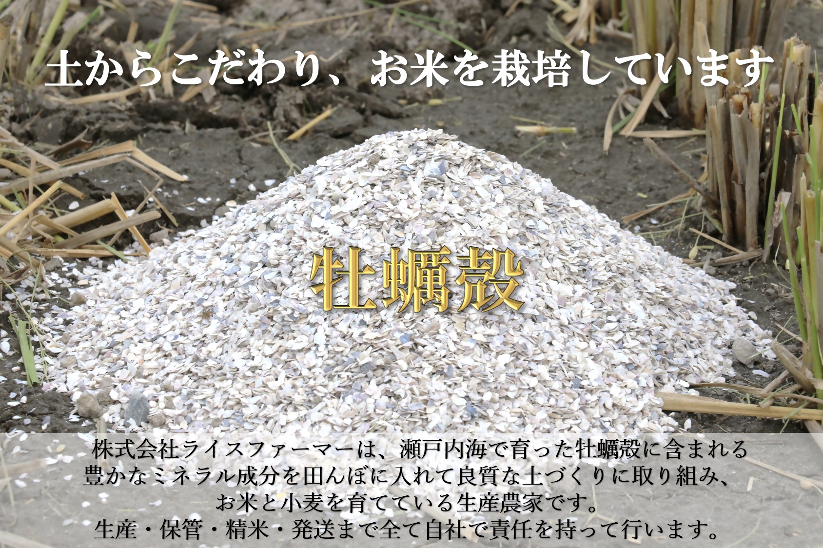 【お米　特別栽培米　特Aランク】岡山県産「きぬむすめ」10kg（令和6年産）