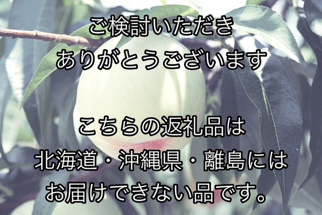 【令和7年発送・先行予約】岡山県産　晴れの国岡山フルーツ7月8月9月10月11月12月定期便6回　化粧箱入りA