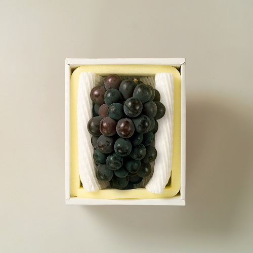 【先行予約】岡山県産　秋のニューピオーネ（約600ｇ）