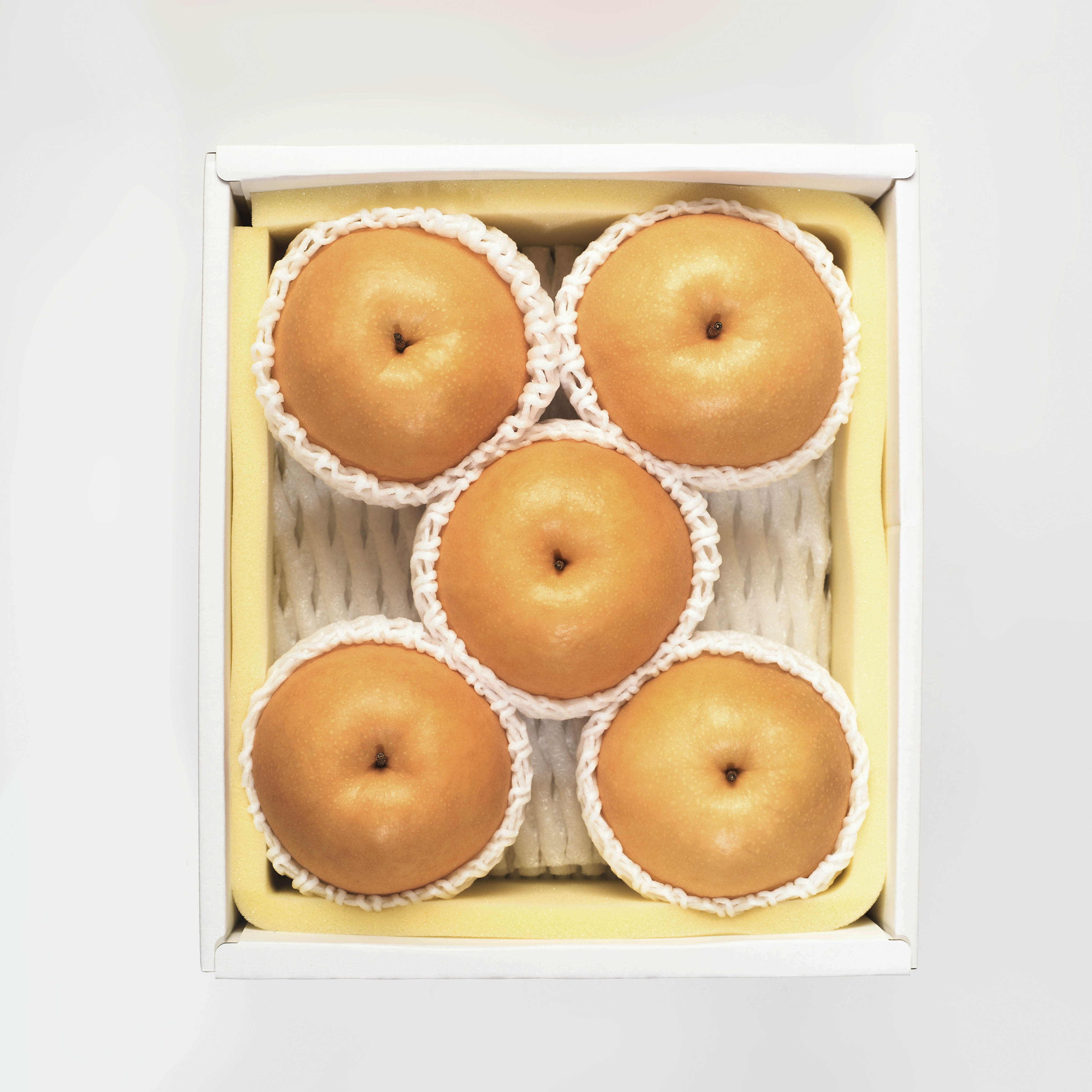 縲仙郁。御コ育エ縲大イ。螻ア逵檎肇縲譁ー鬮俶「ィ縲5ス6邇会シ育エ2.5kgシ