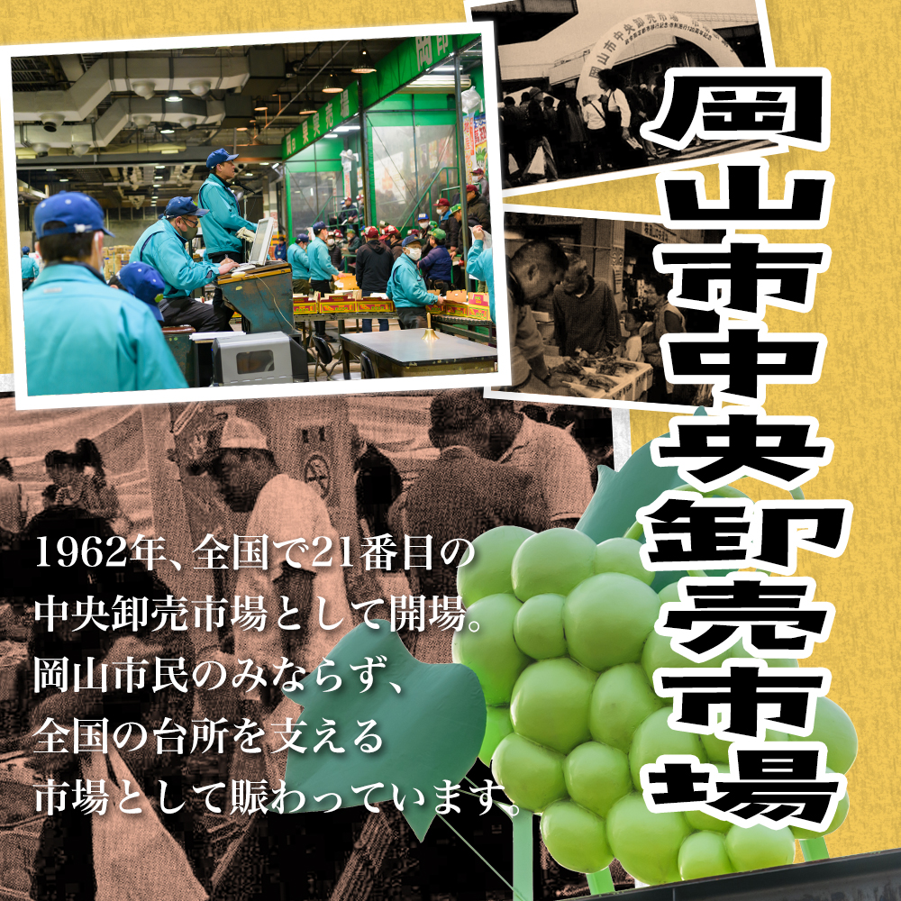 【令和7年発送・先行予約】岡山のフルーツとワインの定期便　3回コース