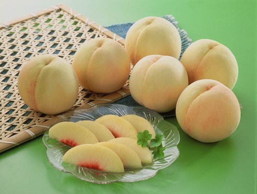 ãå
è¡äºçŽã岡山çç£ãå²¡å±±çœæ¡ïŒïœïŒïŒçïŒçŽ2.0ãïŒ