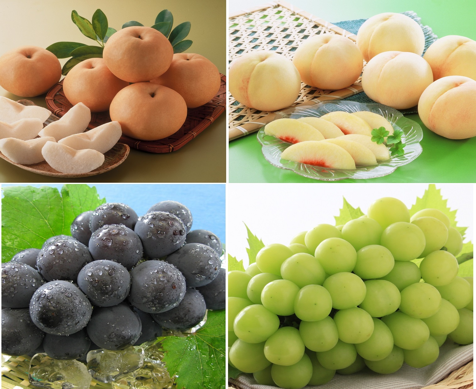 【先行予約】岡山県産　旬のくだもの定期便　３回