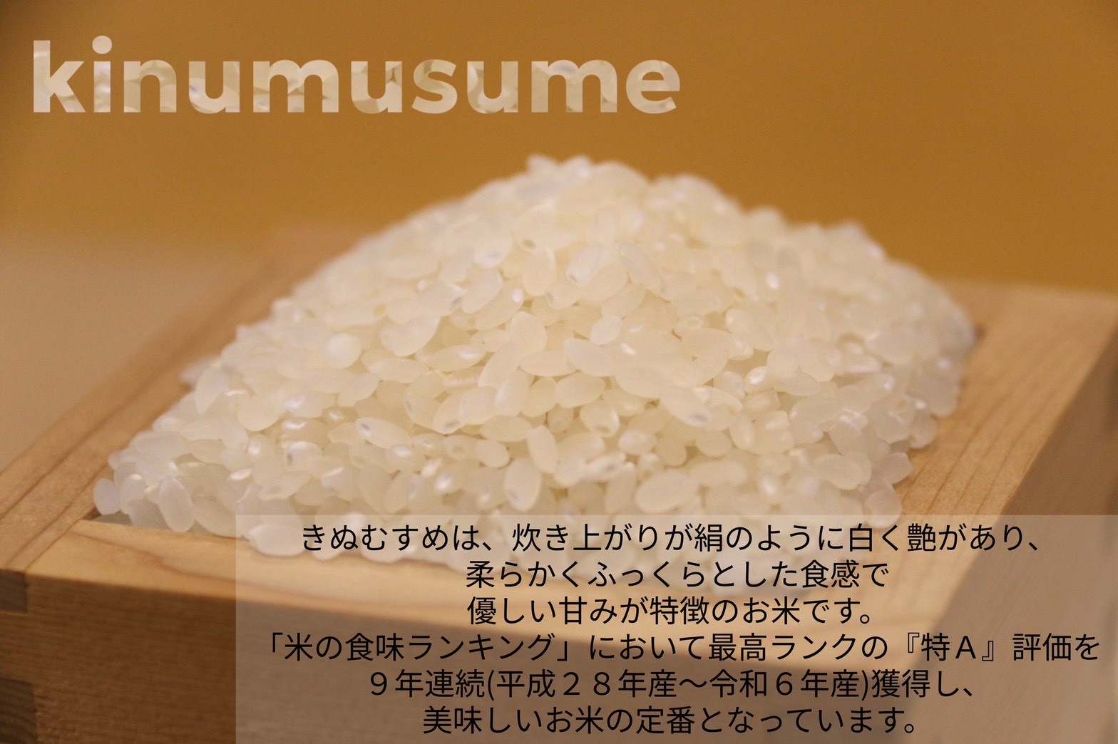 【お米　特別栽培米　特Aランク】岡山県産「きぬむすめ」10kg（令和7年産）
